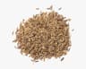 Cumin fragrance note