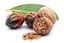 Nutmeg fragrance note