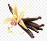 Bourbon Vanilla fragrance note