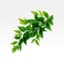 Green Notes fragrance note