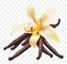 Vanilla fragrance note